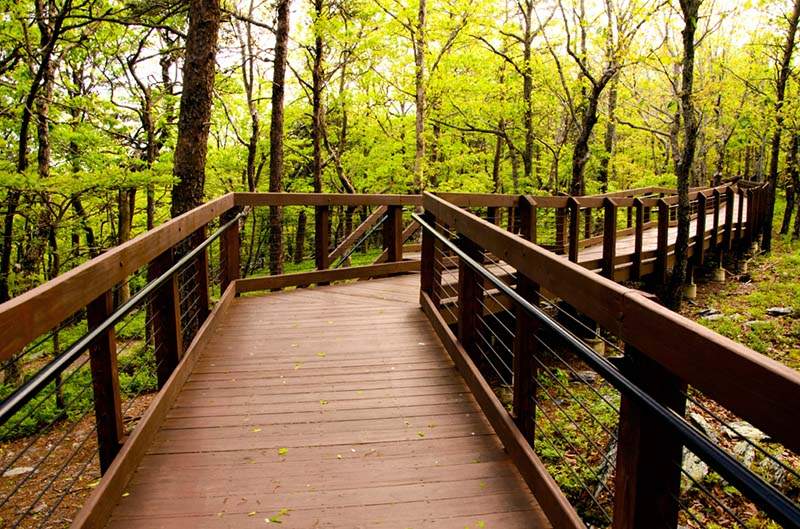 Cheaha State Park — Bald Rock Trail Alabama Birding Trails