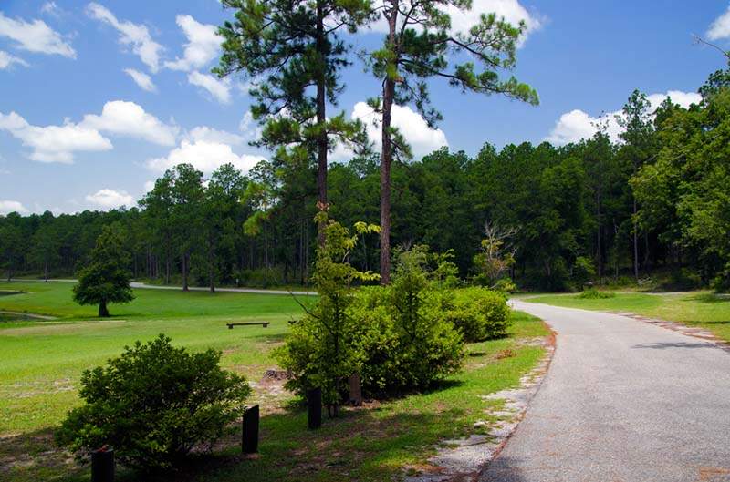 Conecuh National Forest Alabama Birding Trails Wiregrass Birding