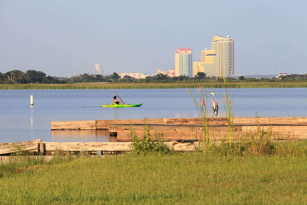 Shelby Lake Picnic Grounds Alabama Birding Trails