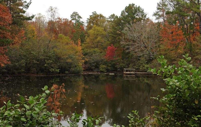 Kreher Pond Fall