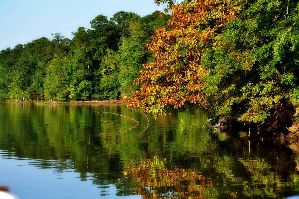 Lake Martin Hiking Trails Cherokee Ridge At Lake Martin - Alabama Birding Trails