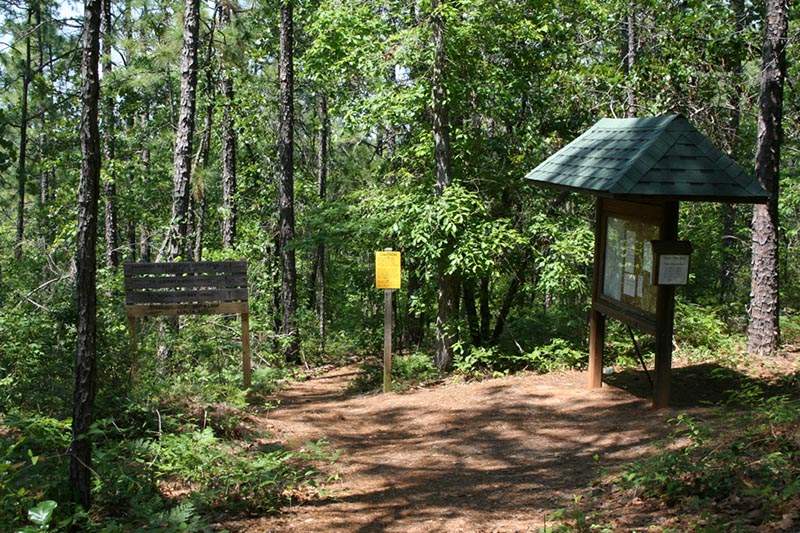 Lake Martin Hiking Trails Cherokee Ridge At Lake Martin - Alabama Birding Trails Lake Martin Hiking Trails Cherokee Ridge At Lake Martin - Alabama Birding Trails