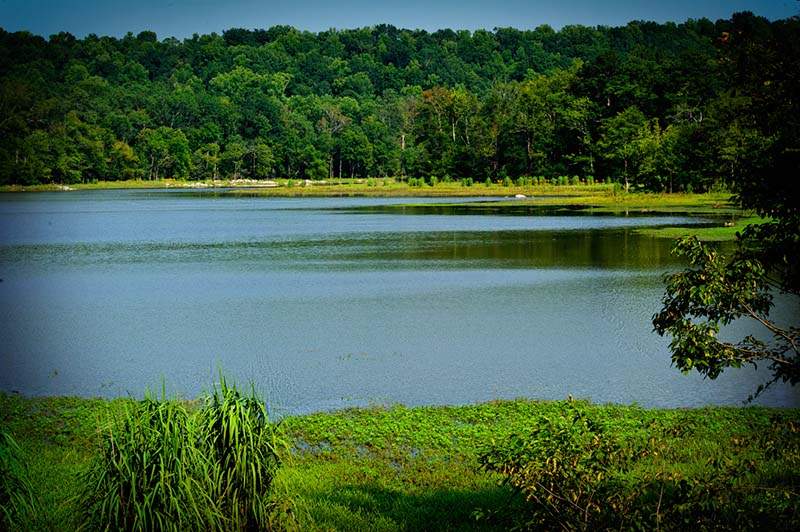 Lake Purdy - Alabama Birding Trails