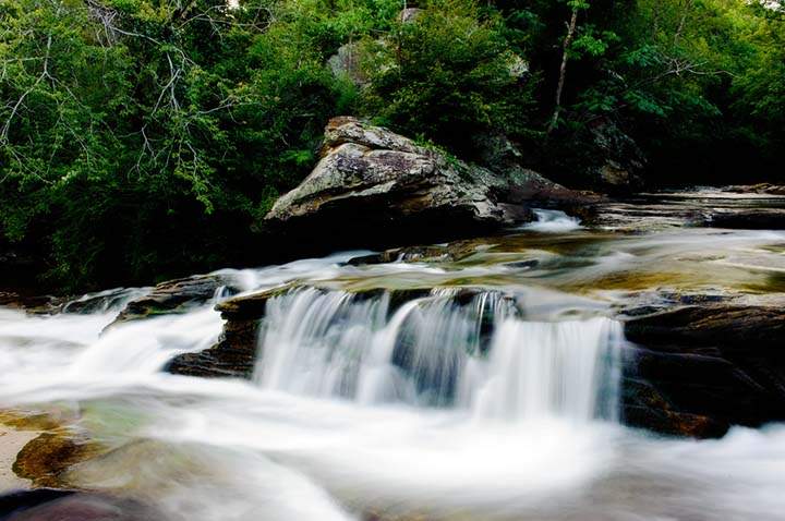 Turkey Creek Nature Preserve - Freshwater Land Trust