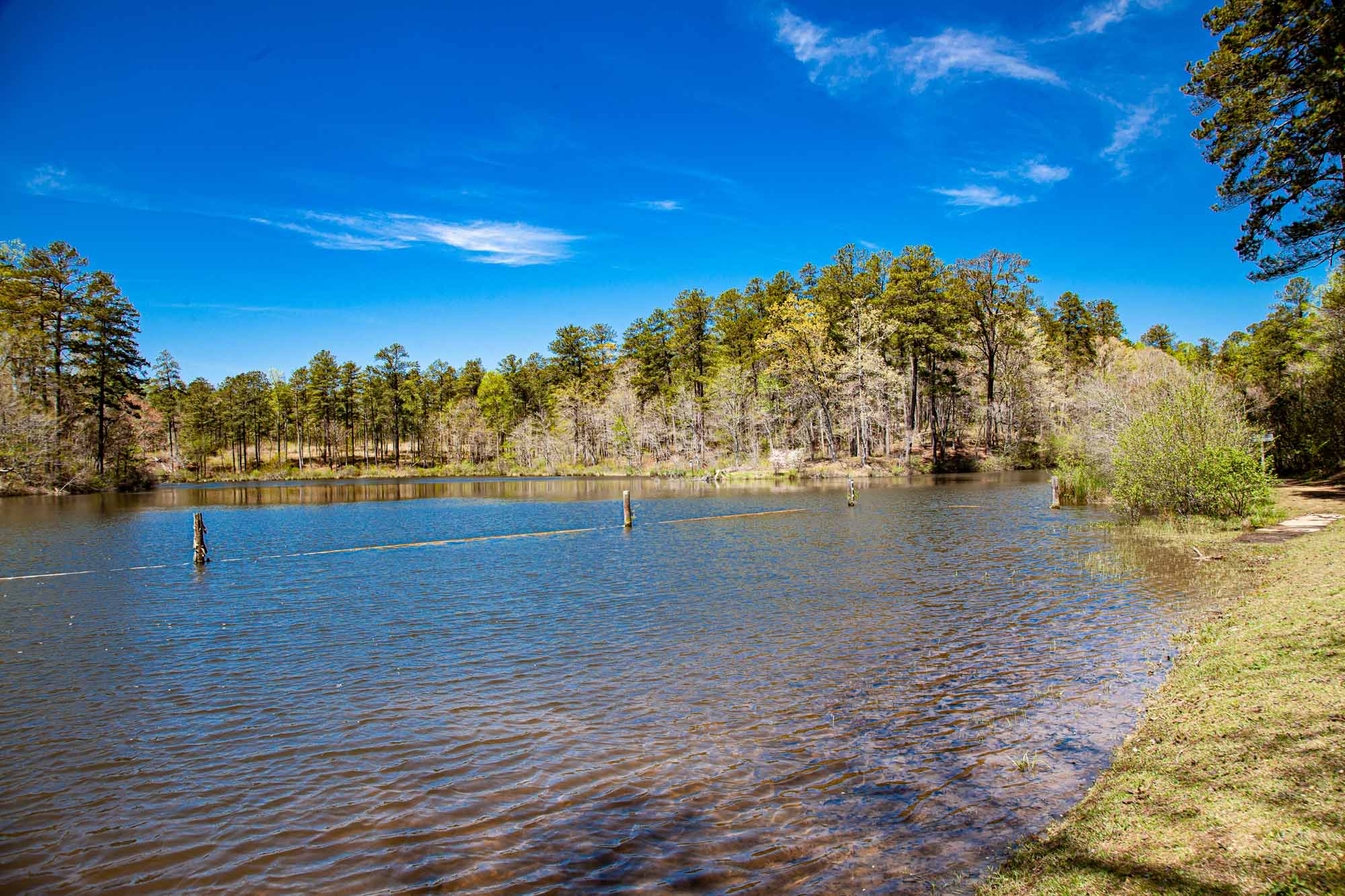 Coleman Lake Talladega National Forest, Shoal Creek Alabama Birding