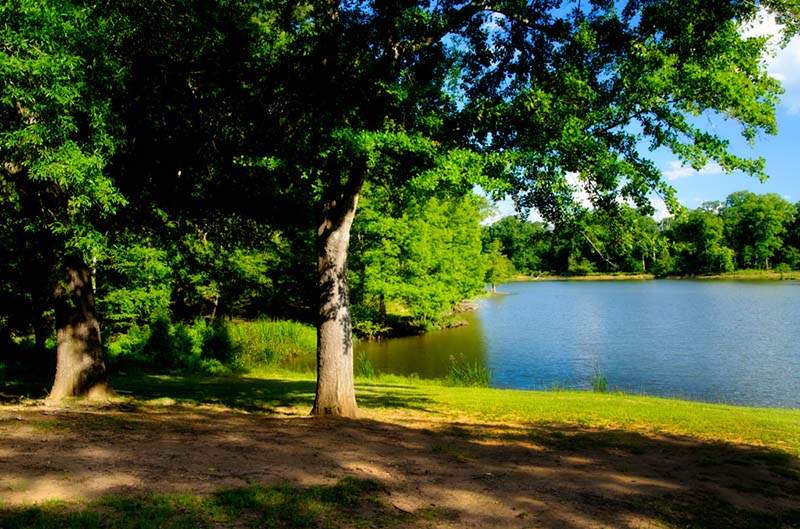 Forkland Campground Alabama Birding Trails