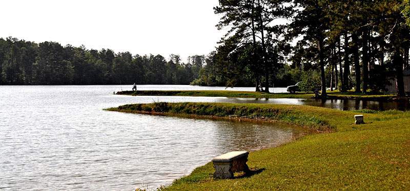 Monroe County Lake Alabama Birding Trails