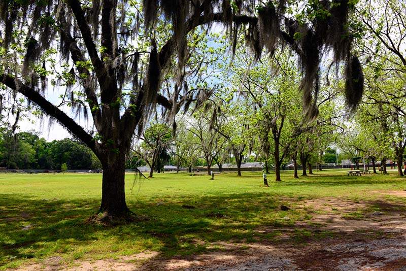 Black Belt Archives - Alabama Birding Trails