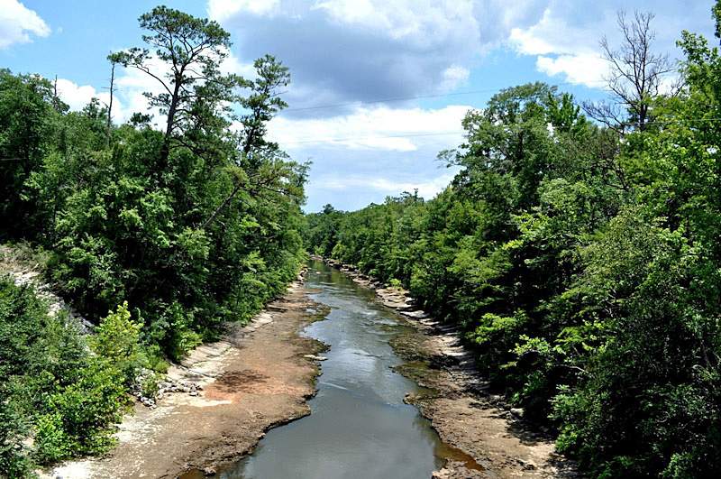 Iron Bridge Sepulga Canoe Trail, Piney Woods Birding Trail