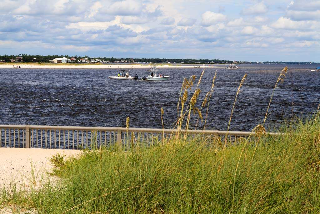 Perdido Pass / Alabama Point West Alabama Birding Trails