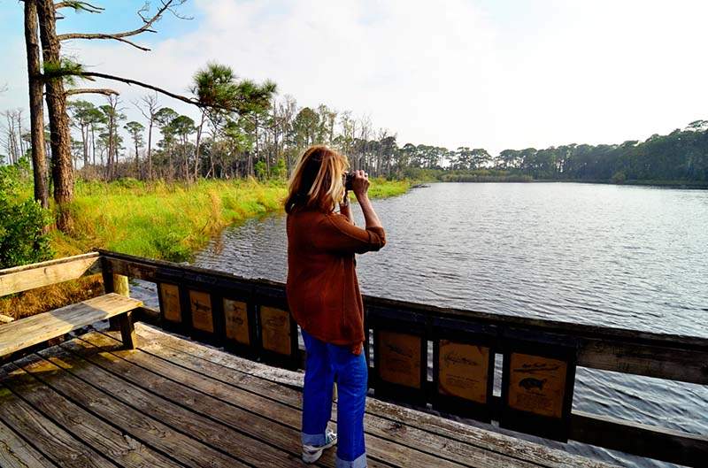 Dauphin Island Bird Sanctuary, Coastal Birding Trail, Alabama