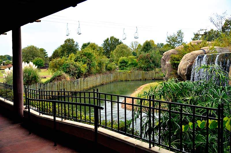 Montgomery Zoo Alabama Birding Trails