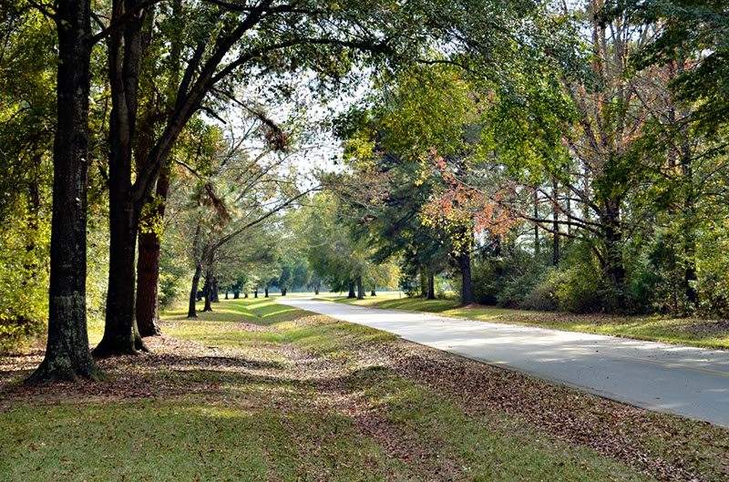 Lowndes Archives - Alabama Birding Trails