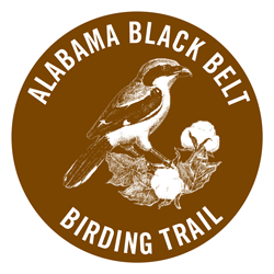 Black Belt Birding Trail