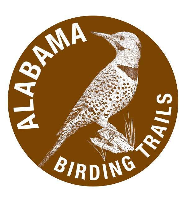 birding logo