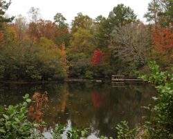 Kreher Pond Fall