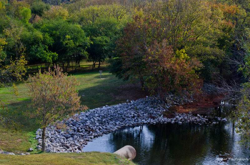 Ten New Locations Added to Alabama Birding Trails Program Alabama