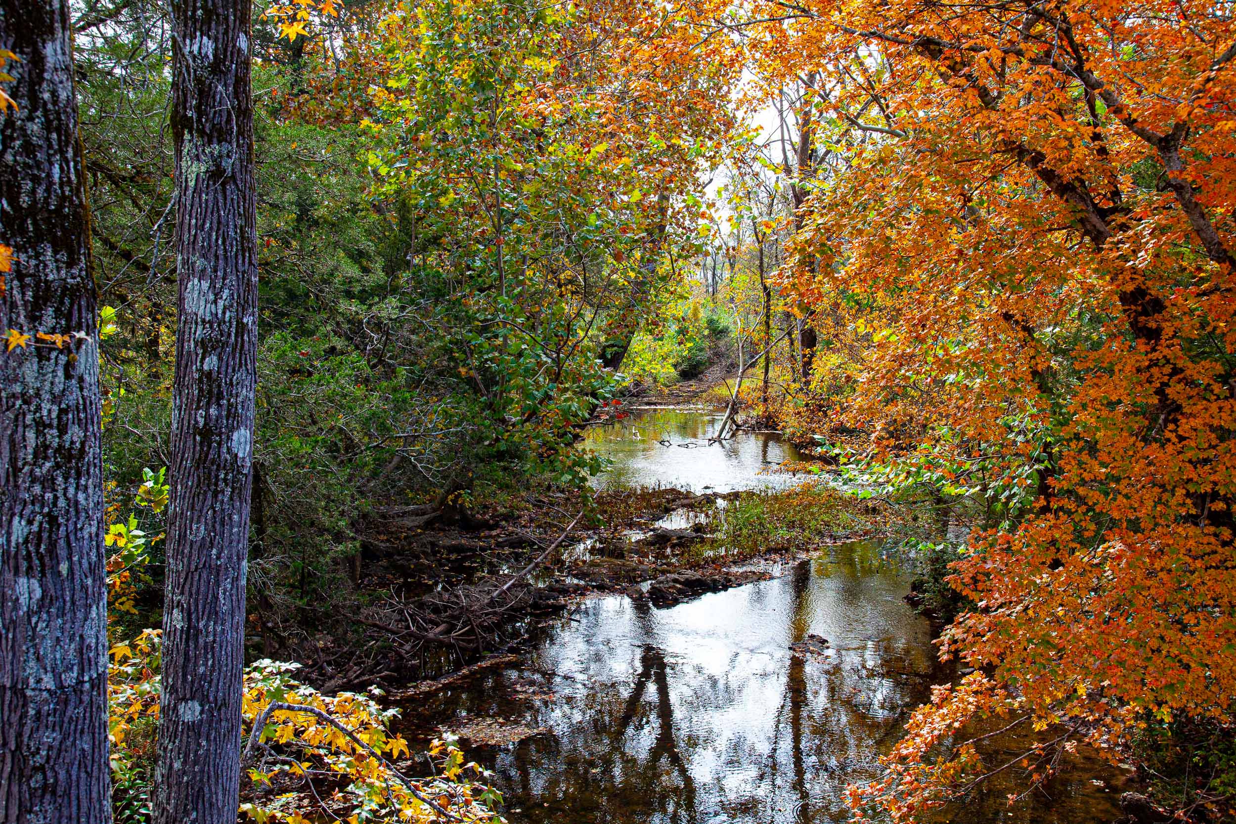 Shoal Creek Park - Alabama Birding Trails